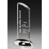 Silver Wing Award