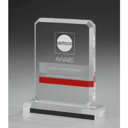 Acrylic Frame Award