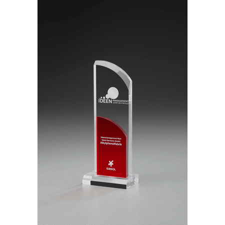 Clear Fire Wing Award