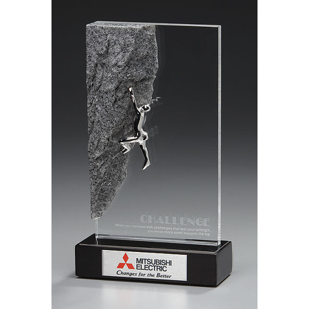 Challenge Award