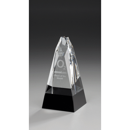 President Award
