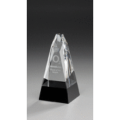 President Award
