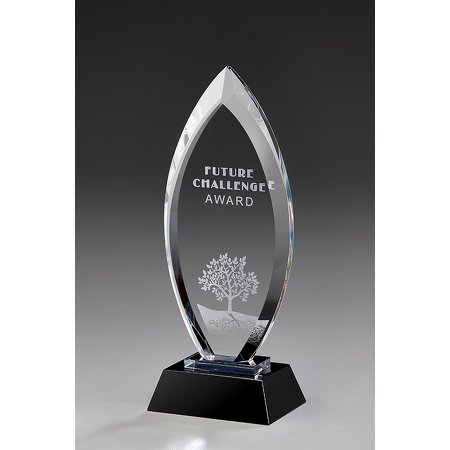 Majestic Award