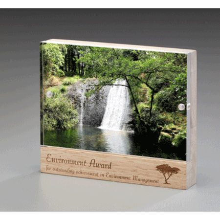 Wooden Magnet Award