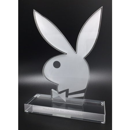 Playboy - Girl des Jahres - Award (Umsetzung 2014-2017)
