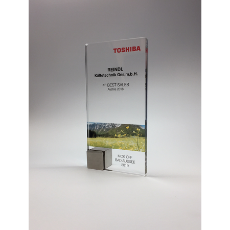 Award-Aufsteller "Toshiba"