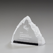 Iceberg Award