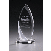Crystal Ice Arrowhead Award