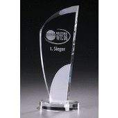 Crystal Ice Elegance Award