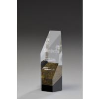 Aria Award