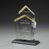 Chairman Award