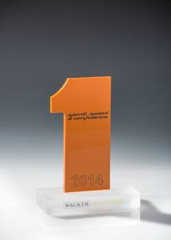 Wacker Silicones Team Award