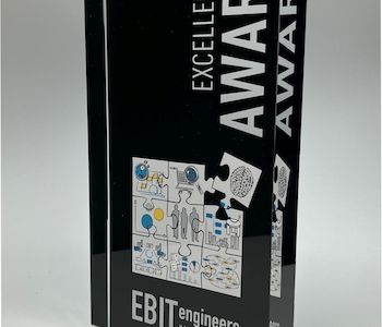 Excellence Award