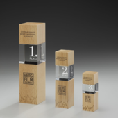 Wooden Cubix Award