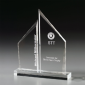 Double Tower Award