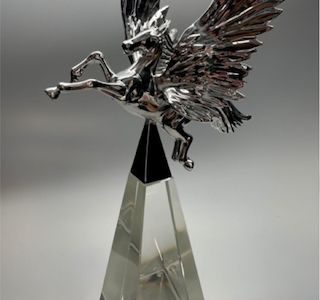 Pegasus Awards der Raiffeisenlandesbank Oberösterreich (Umsetzung jährlich 2020 - 2022)