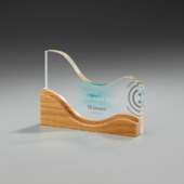Wooden Wave Award