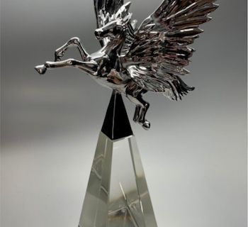 Pegasus Awards der Raiffeisenlandesbank Oberösterreich (Umsetzung 2020 - 2022)