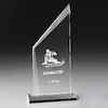 Millenium Tower Award