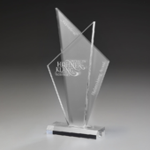 Acrylic Ice Style Award