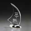 Metal Catalina Award