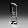 Silver Wing Award