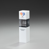 Arctic Cubix Award