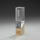 Wooden Slide Award