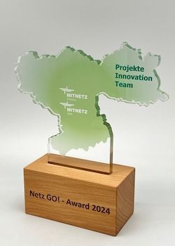 Netz GO! Award