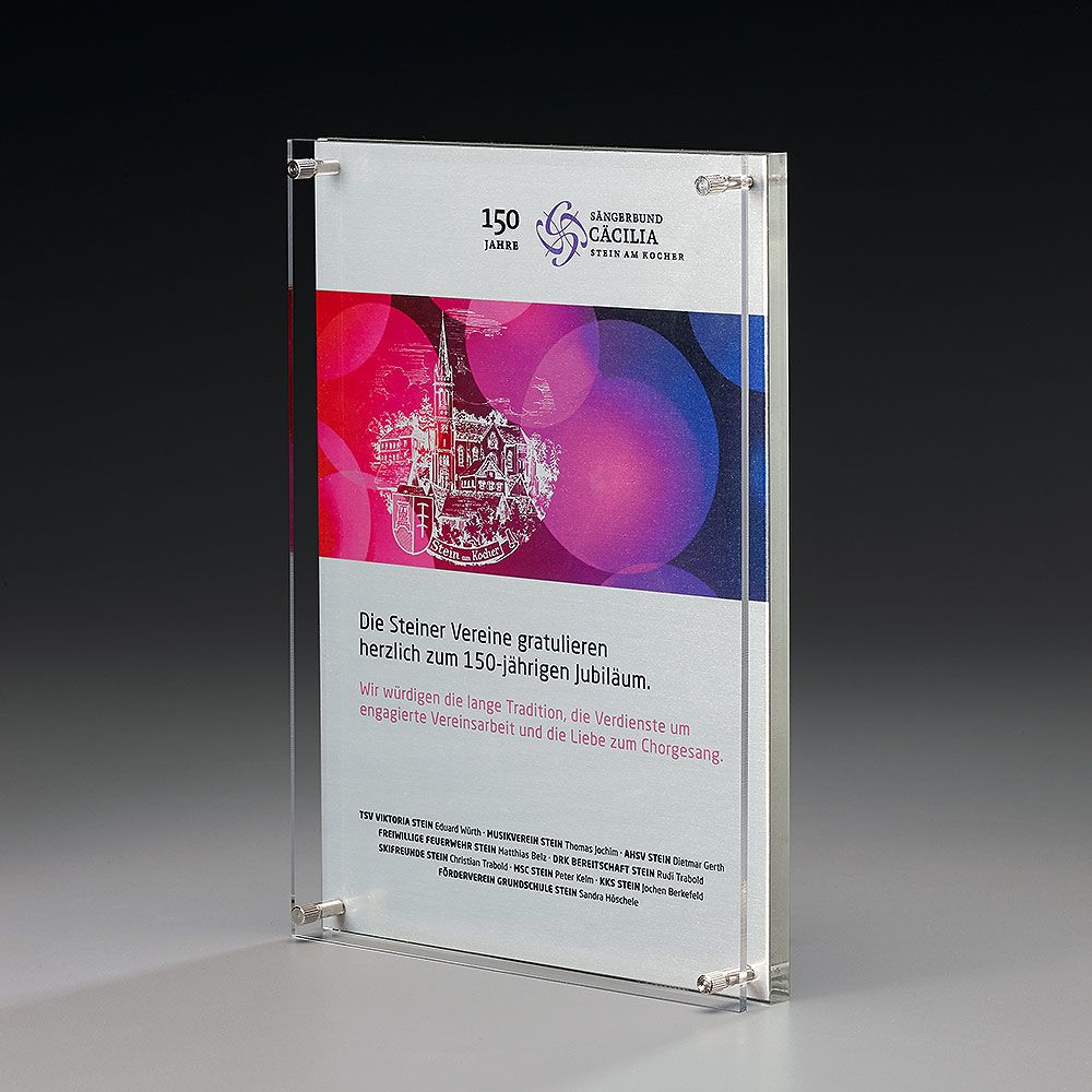 10001011 Display Alu