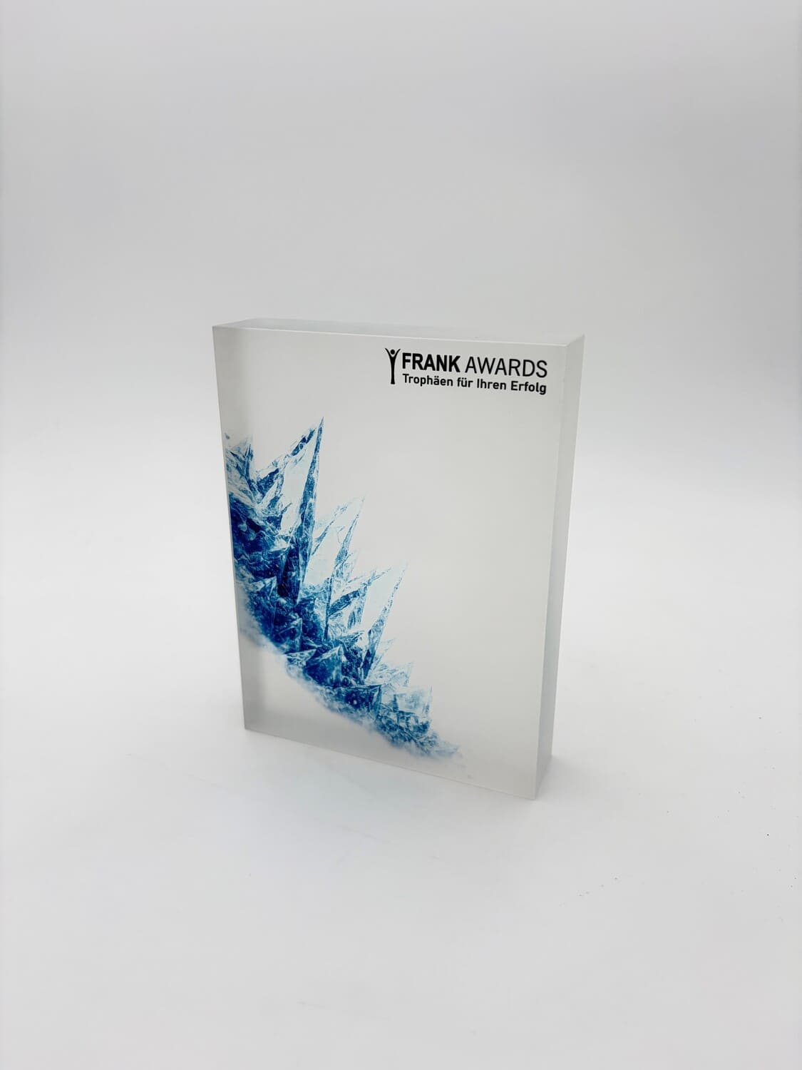 11951 Frost Award