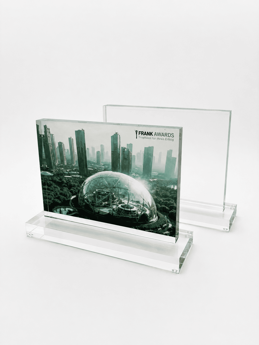 12520 Horizon Award