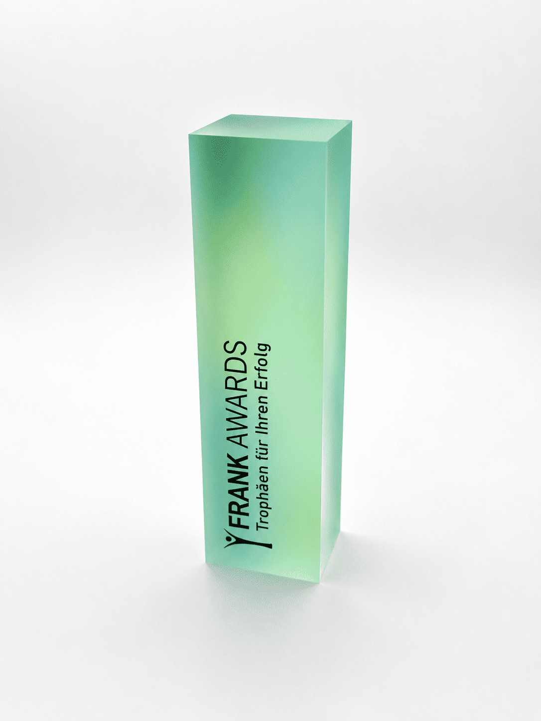 12971 Shine Award