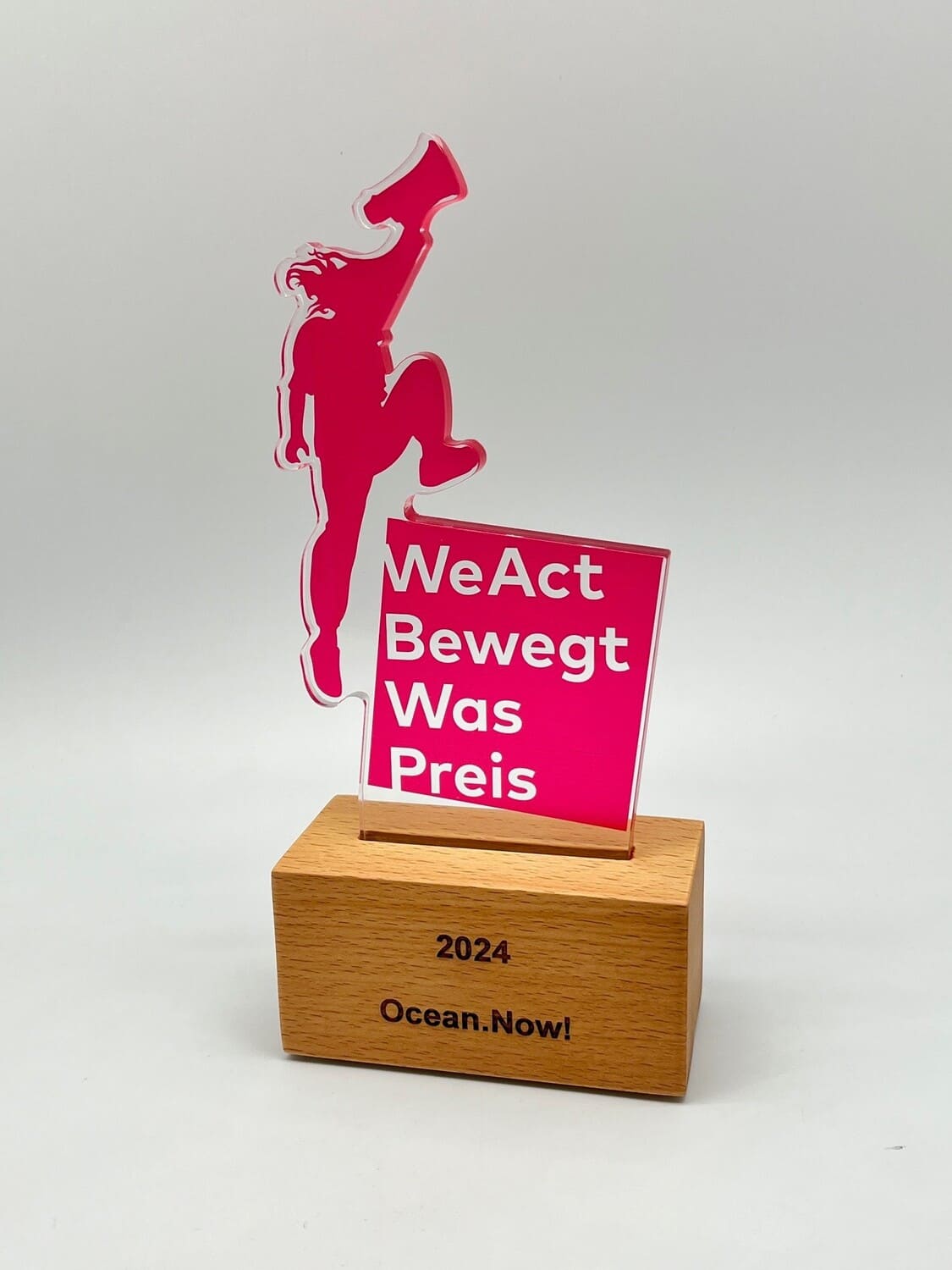 Campact Award
