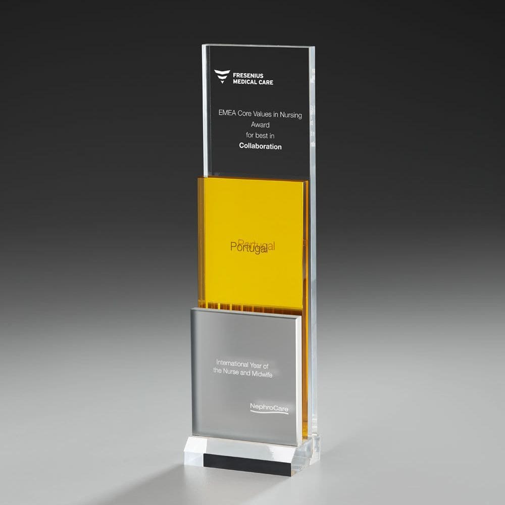 73454 Golden Step Award