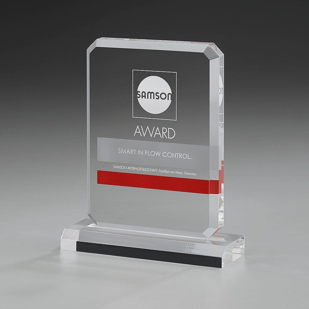 74008 Acrylic Frame Award