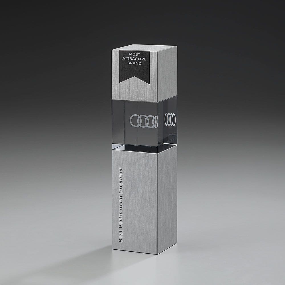 79010 Metal Cubix Award